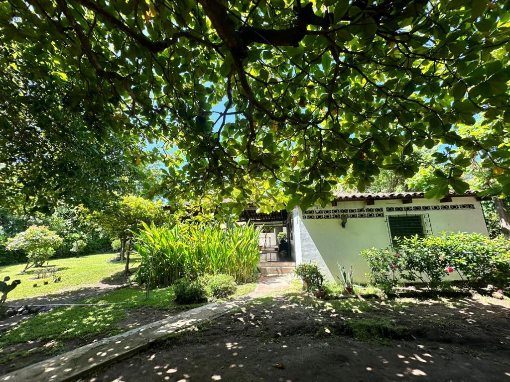 un edificio blanco en un patio con un árbol en Surf City Town House, en La Libertad