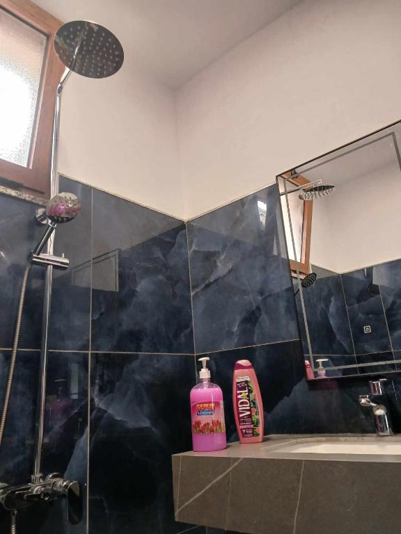 Koupelna v ubytování Bujtina Dalmacia