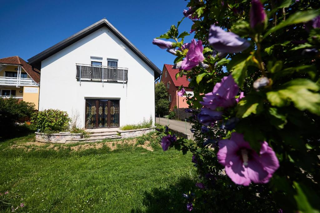 Zahrada ubytování Ferienhaus SWD