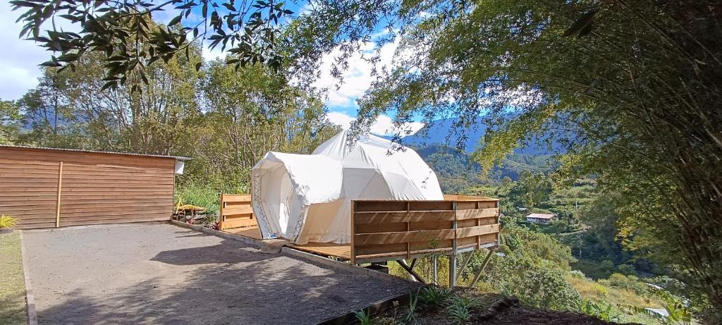 Příroda nedaleko luxury tent