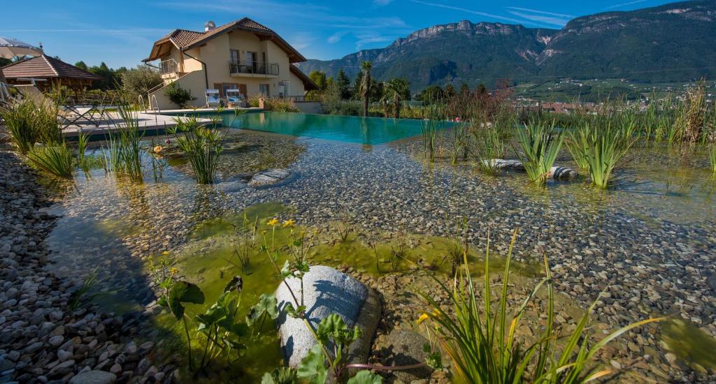 a house with a swimming pool with mountains in the background at Lavendelhof in Appiano sulla Strada del Vino