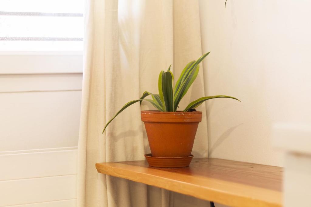 BNB La Piccola - Free Parking - Resim 13