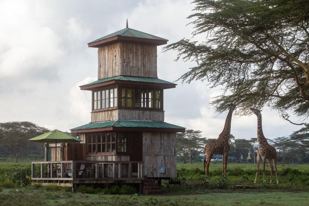 Een tuin van The Watch Tower 360' Bed View Shower Understars