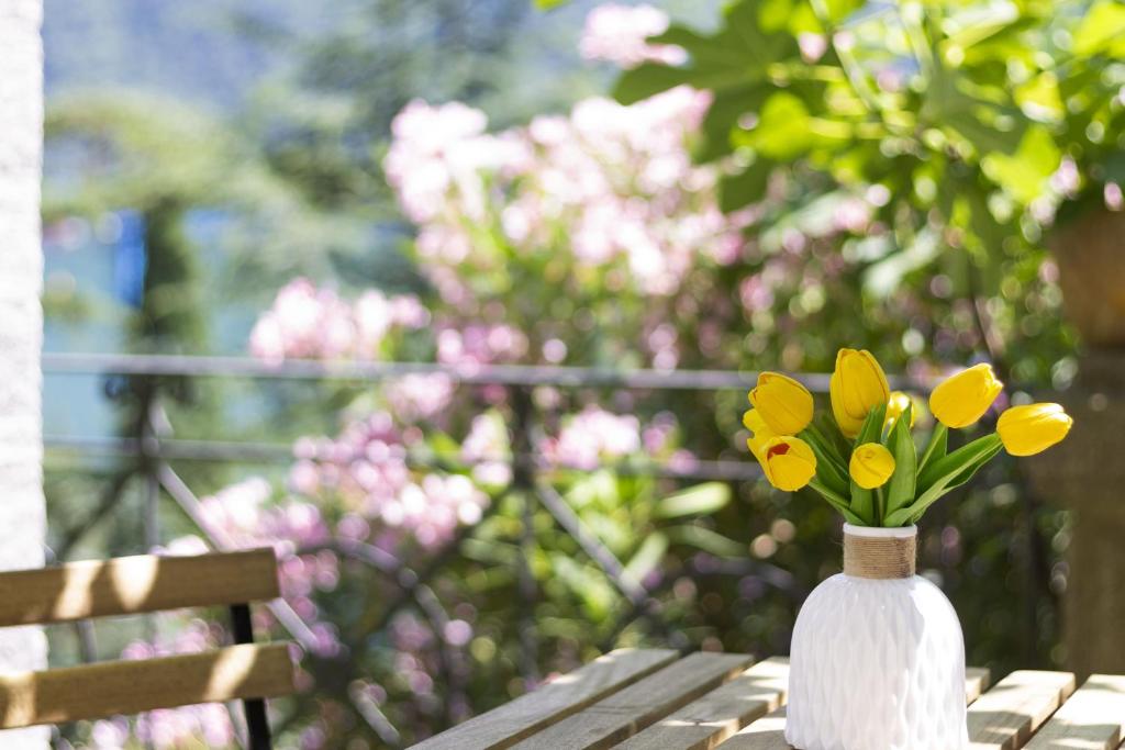 La Castignola con vista lago di Lugano e giardino condiviso - Resim 19