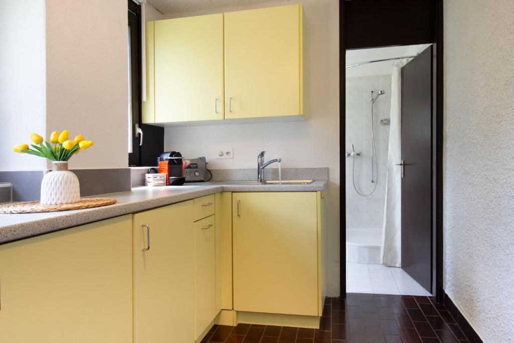 La Castignola con vista lago di Lugano e giardino condiviso - Resim 17