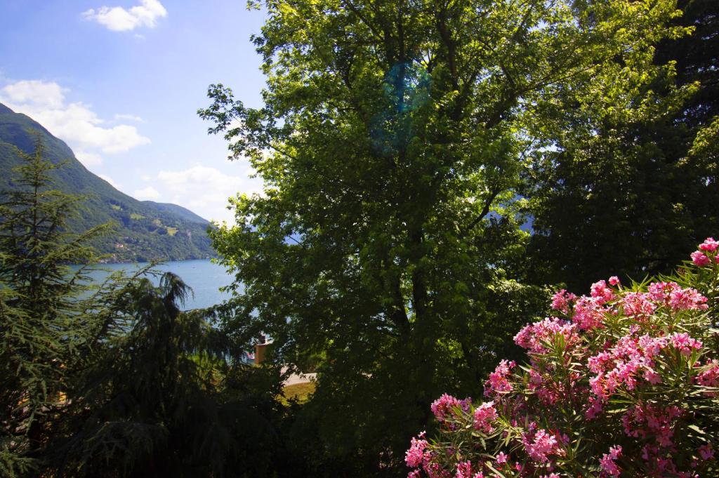 La Castignola con vista lago di Lugano e giardino condiviso - Resim 23