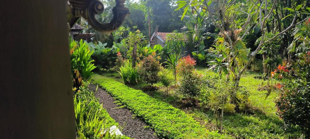 Zahrada ubytování Tanggu ubud homestay