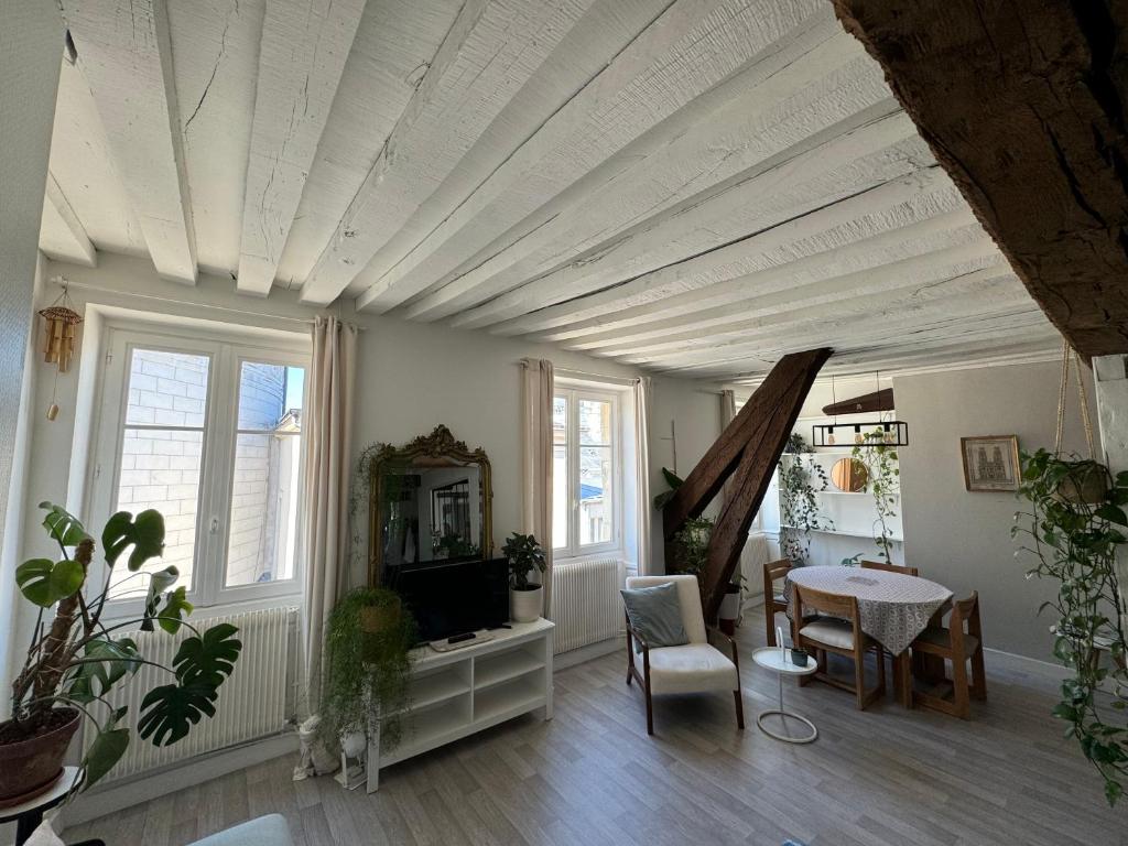 Φωτογραφία από το άλμπουμ του Appartement central - ORLEANS στην Ορλεάνη