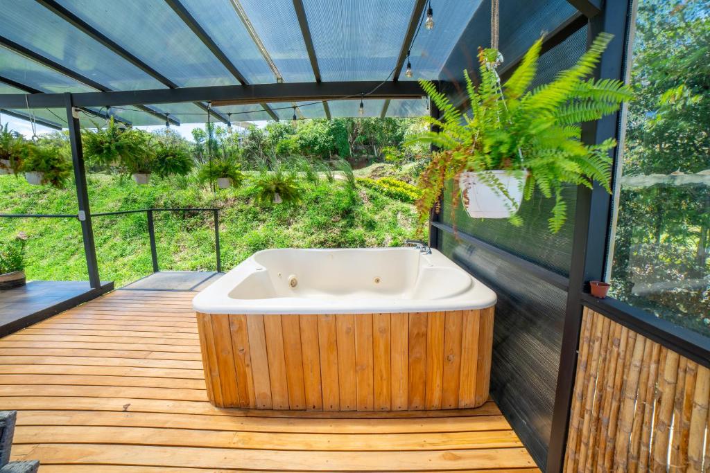 Zahrada ubytování Tocuma Glamping