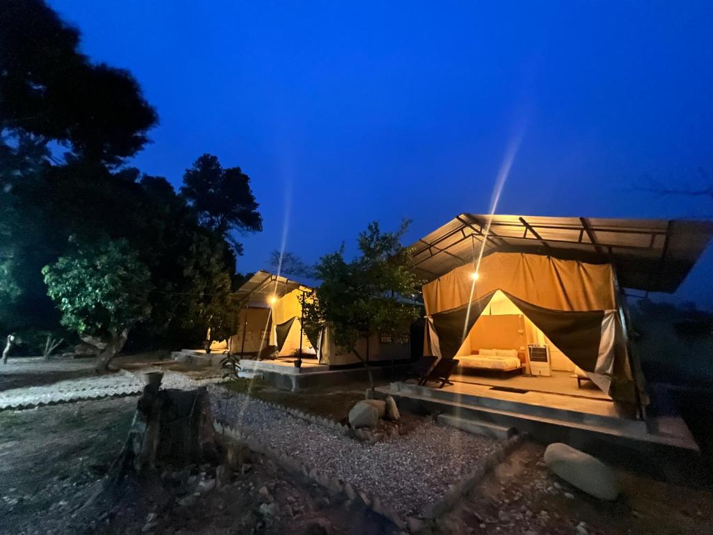 a couple of tents in a field at night at Hotel Tharu Garden And Beer Bar in Chitwan