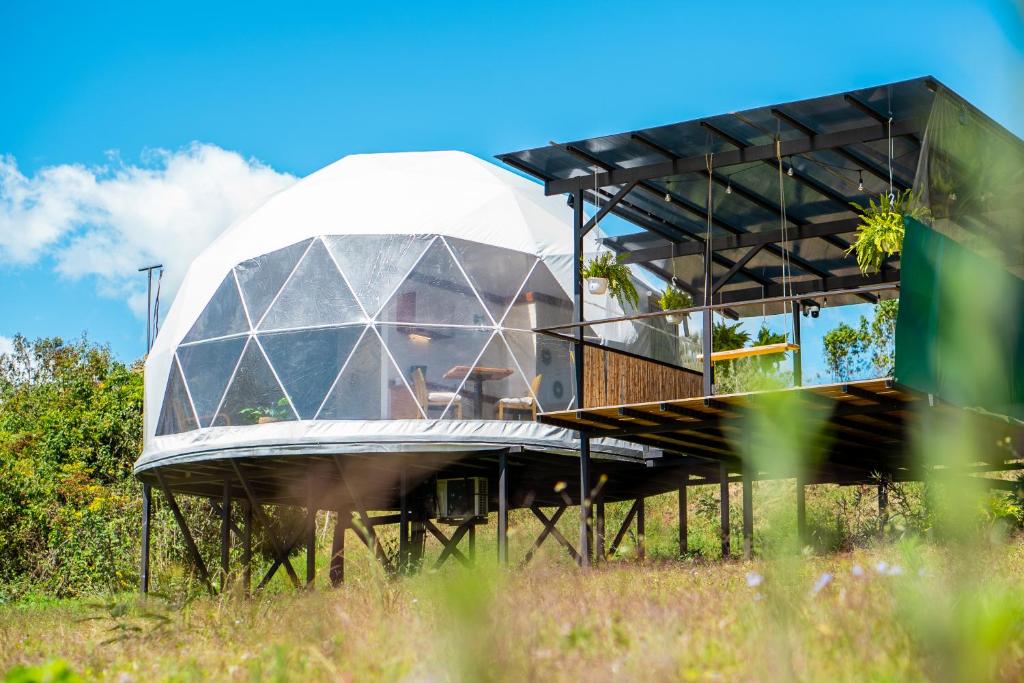 Zahrada ubytování Tocuma Glamping