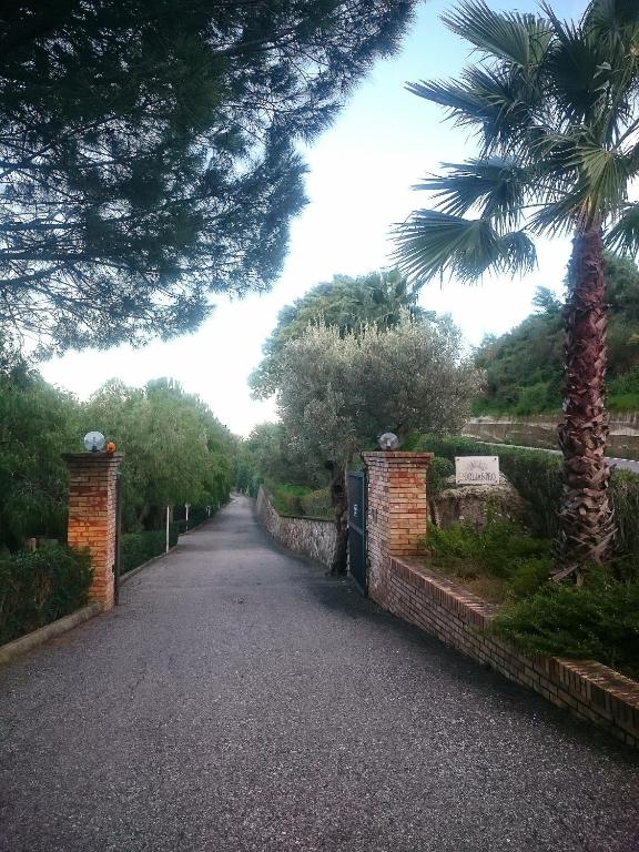 Petrizzi
