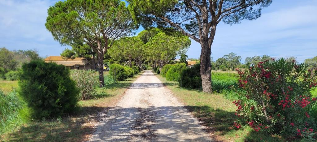 Φυσικό τοπίο κοντά σε αυτός ο ξενώνας