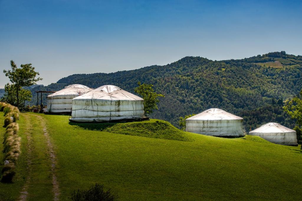 Příroda nedaleko luxury tent