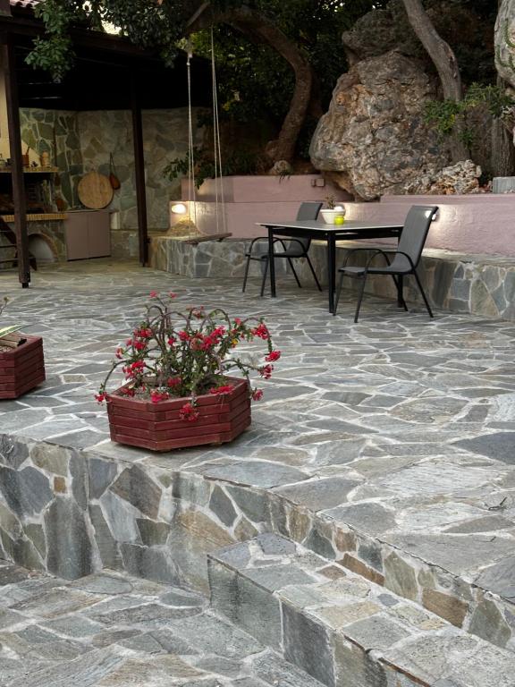 Patio alebo iná vonkajšia časť ubytovania Elis superb villa