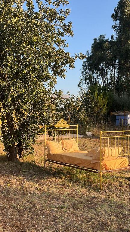 Fotografie z fotogalerie ubytování Quintal Alentejano v destinaci Fataca