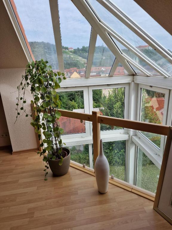 Balkón nebo terasa v ubytování Villa Kayser