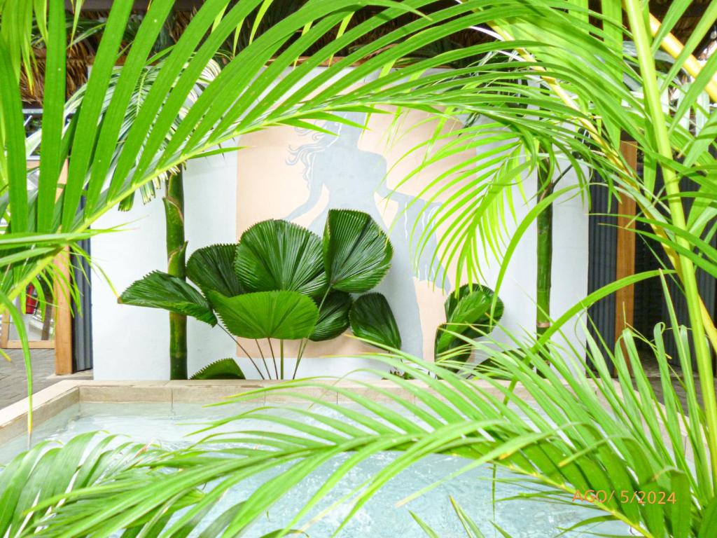 Сад в La Tribu Boutique Hostel for women