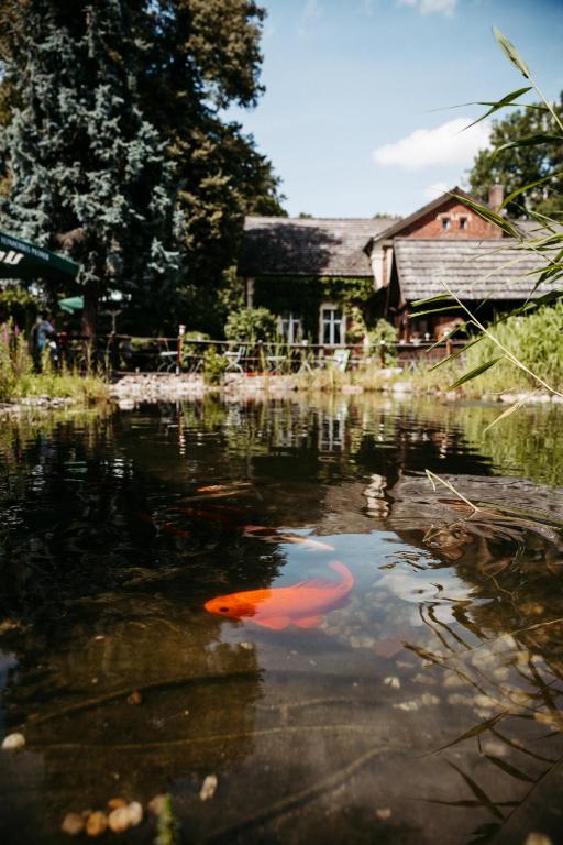 Příroda nedaleko hotelu
