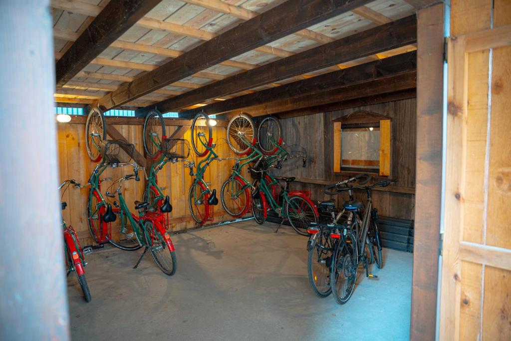 Jízda na kole v ubytování Hotel Kolonieschänke nebo okolí