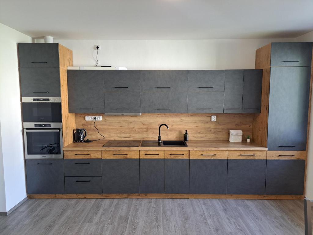 Kuchyň nebo kuchyňský kout v ubytování Apartmány Lucie