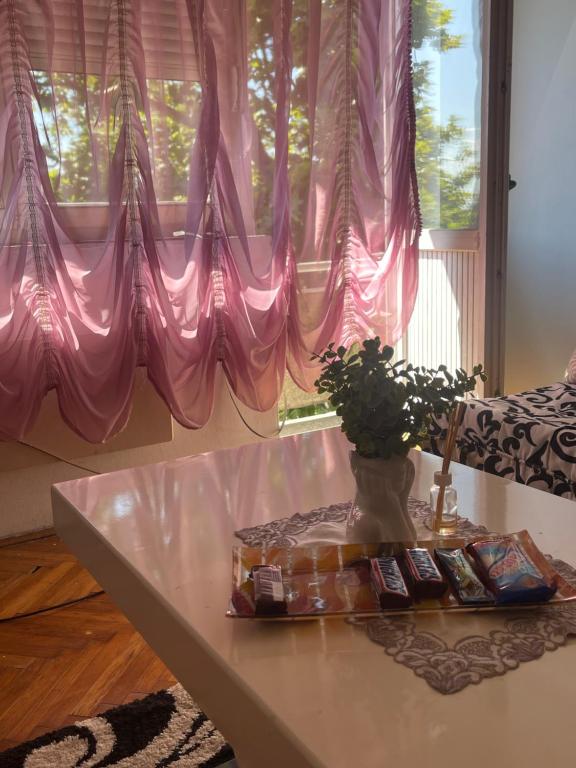 Billede fra billedgalleriet på Bulevar apartman i Leskovac