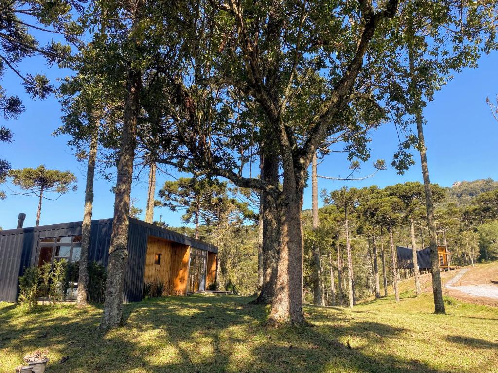 a house in the woods with trees at Cabana na Serra Lareira e Vista Deslumbrante in Rio Rufino