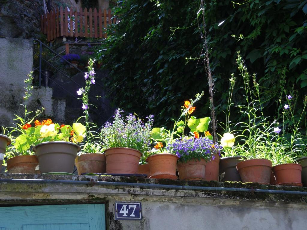 ヴィエンヌにあるLe Liseron Bleuの鉢植えの植物がバルコニーに座っている
