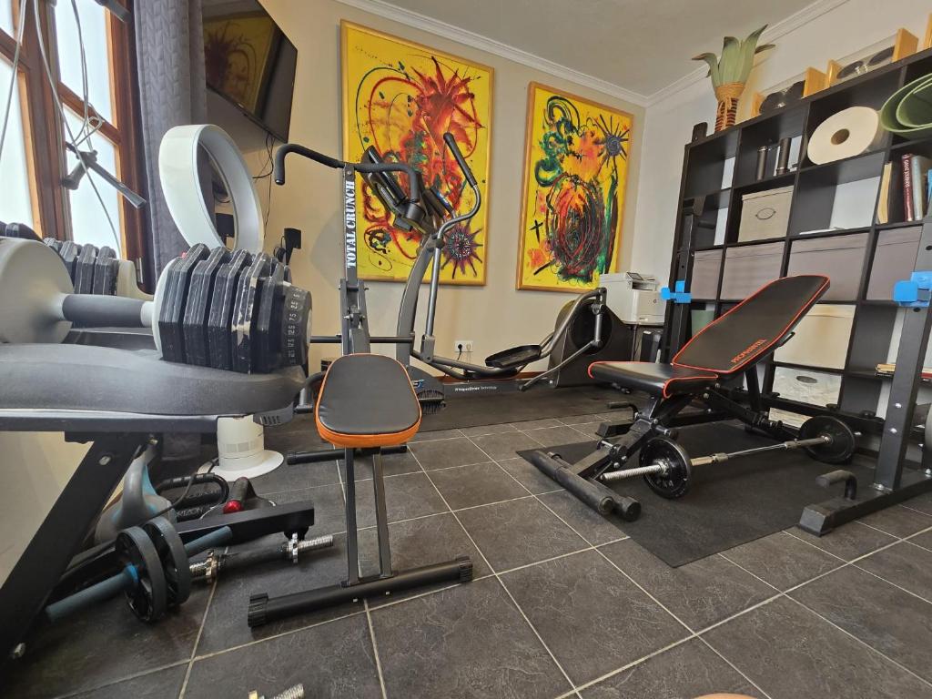Fitness centrum a/nebo fitness zařízení v ubytování Horizon Retreat