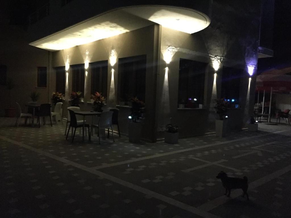 Domácí mazlíčci ubytovaní s hosty v ubytování Hotel Vlora 78
