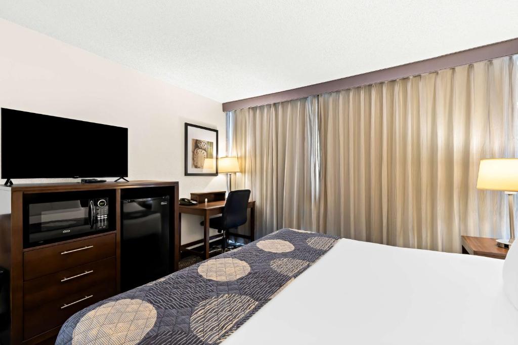 Best Western Yacht Harbor Hotel - Standard King Room