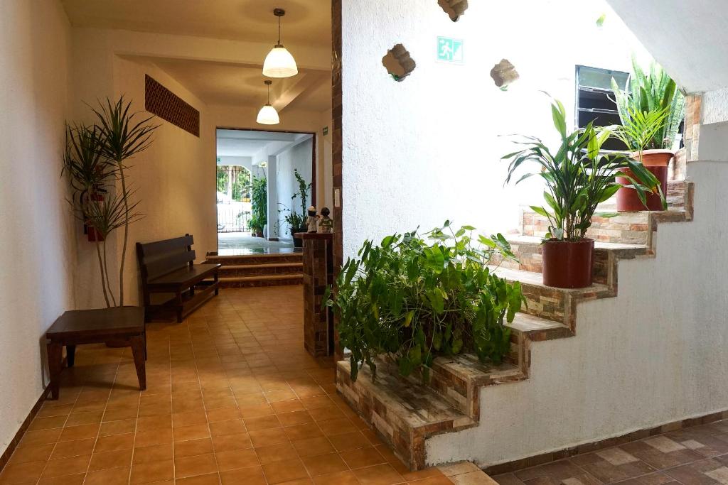 Fotografie z fotogalerie ubytování Hotel del Parque v destinaci Valladolid