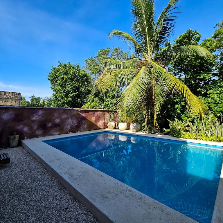 a swimming pool in a backyard with a palm tree at Casa Alux Azul in Valladolid