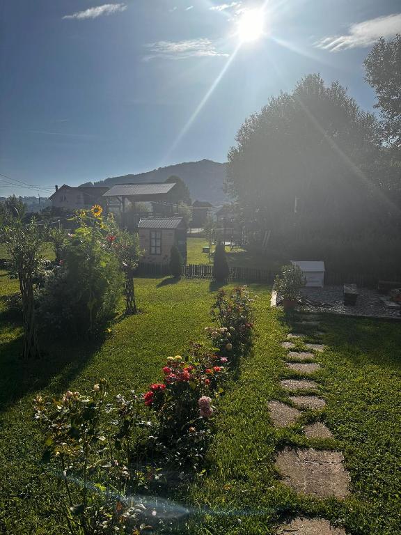 Zahrada ubytování Baltina Parc Transfagarasan