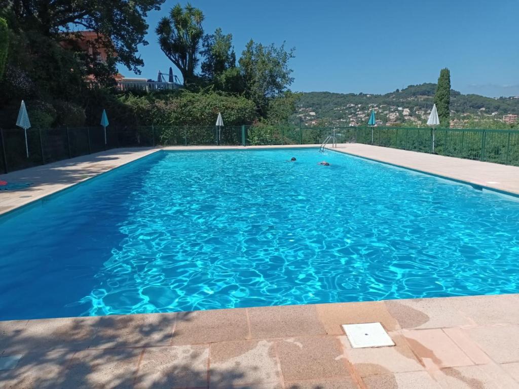 une grande piscine avec de l'eau bleue dans l'établissement les horizons, à Vallauris