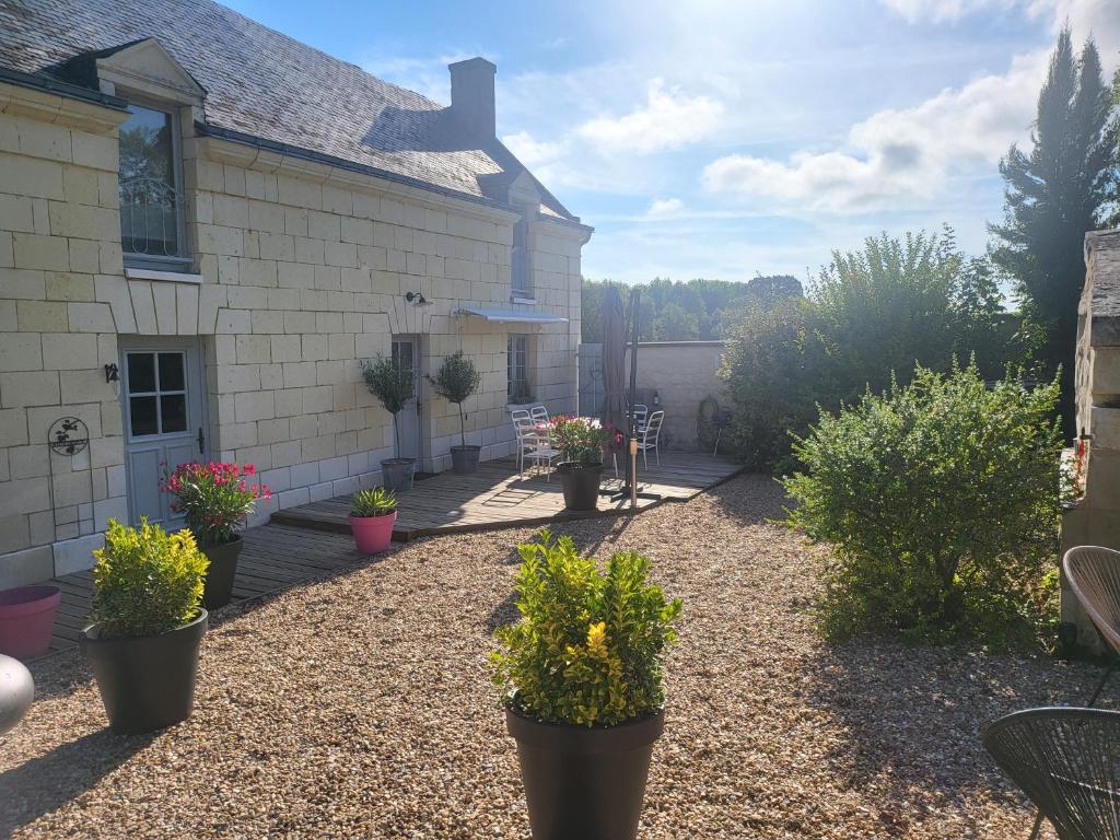 a yard with potted plants in front of a house at Gite Le Charme in Cinais