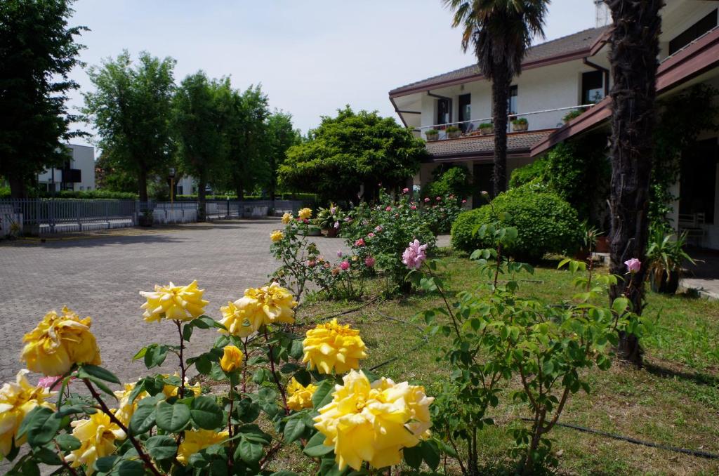 a bunch of yellow flowers in a yard at B&B Cà d'Artisti in Caorle