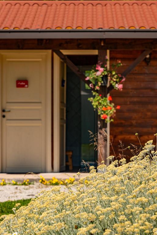Fotografie z fotogalerie ubytování Yurte in Langa v destinaci Bosia