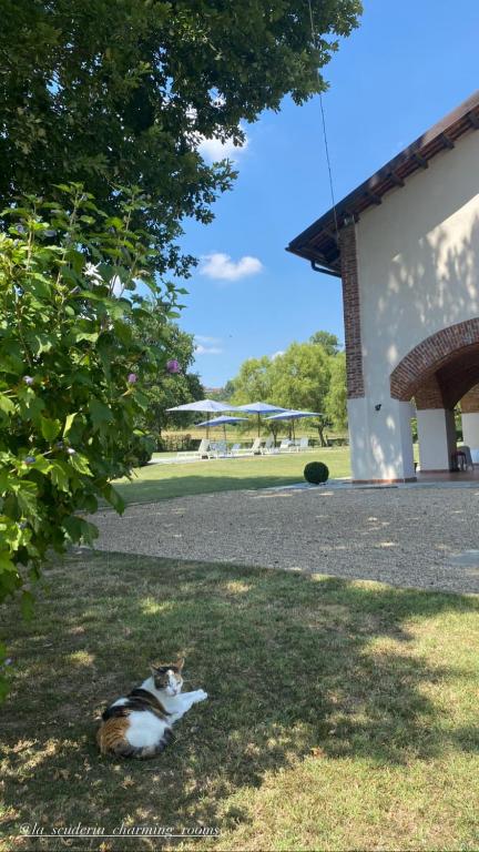 La Scuderia Charming Rooms b&b
