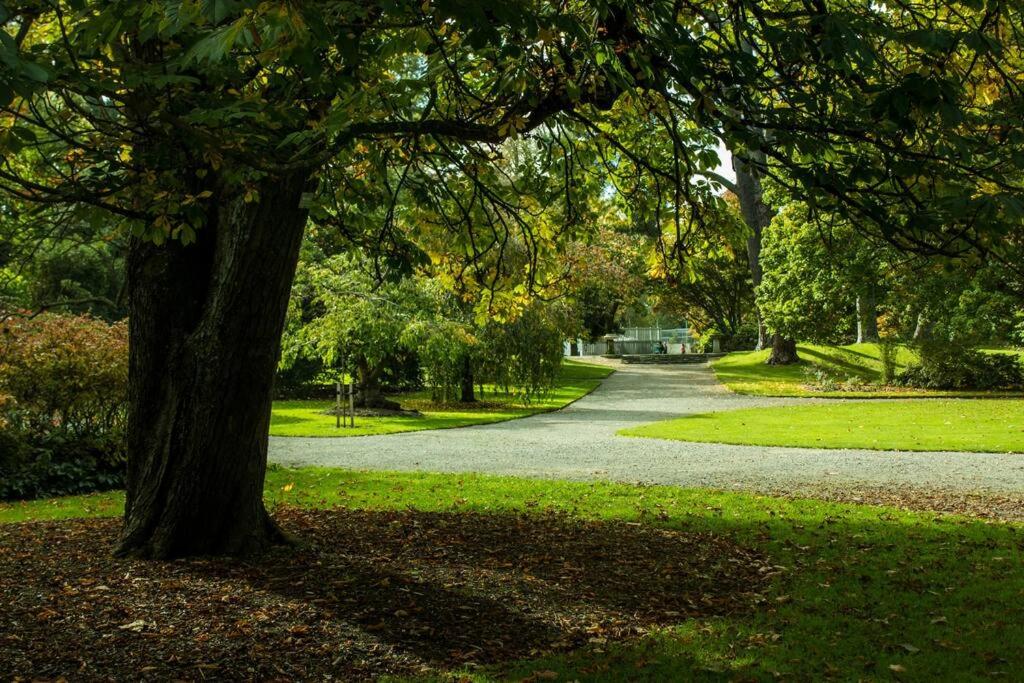 Hagley Park Retreat - Resim 18