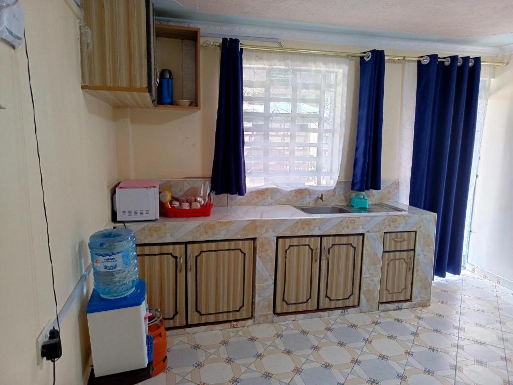 Kuchyň nebo kuchyňský kout v ubytování The Mylon Homes