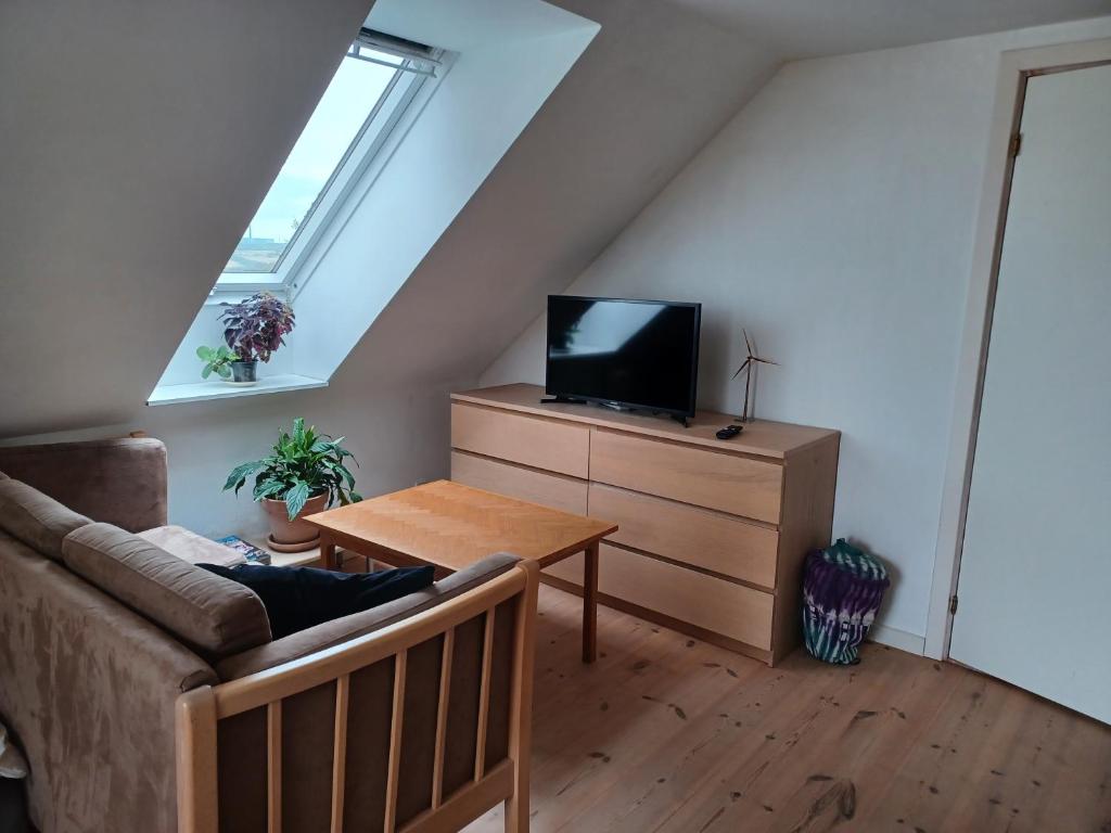 TV a/nebo společenská místnost v ubytování Kasted Hills Aarhus