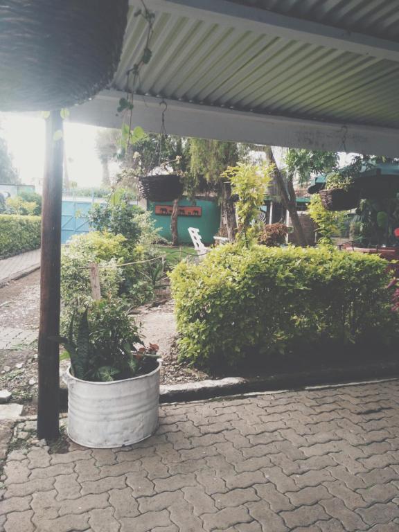 Zahrada ubytování Nairobi Transit Lounge