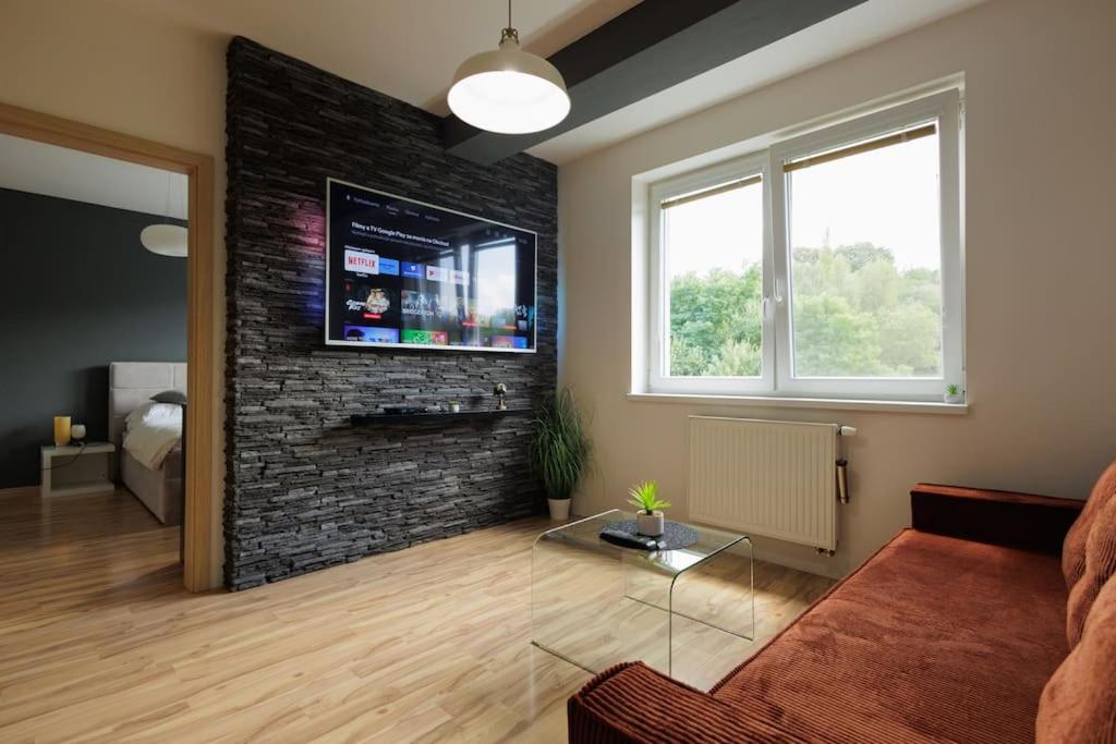 Televízia a/alebo spoločenská miestnosť v ubytovaní Moderný apartmán s vlastným parkovaním v blízkosti prírody TOP
