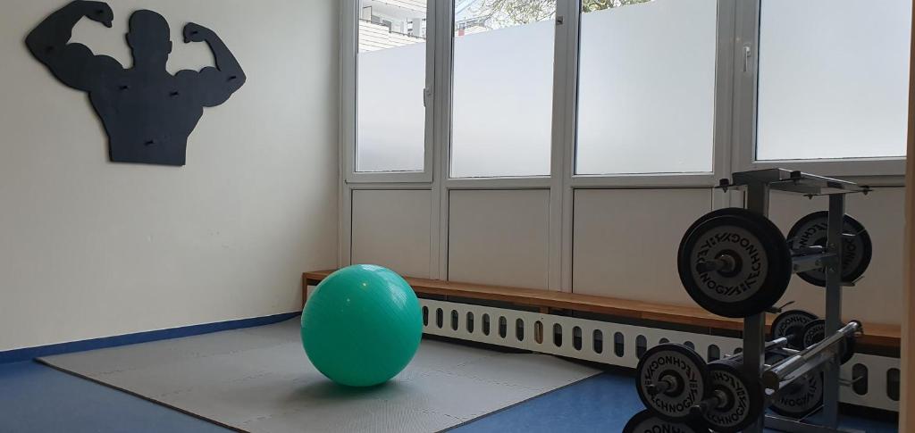 Fitness centrum a/nebo fitness zařízení v ubytování Herzerl Apartment