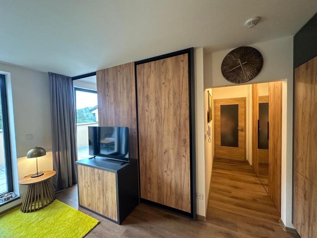 TV a/nebo společenská místnost v ubytování Angel Wings Mountain Apartment Černý Důl