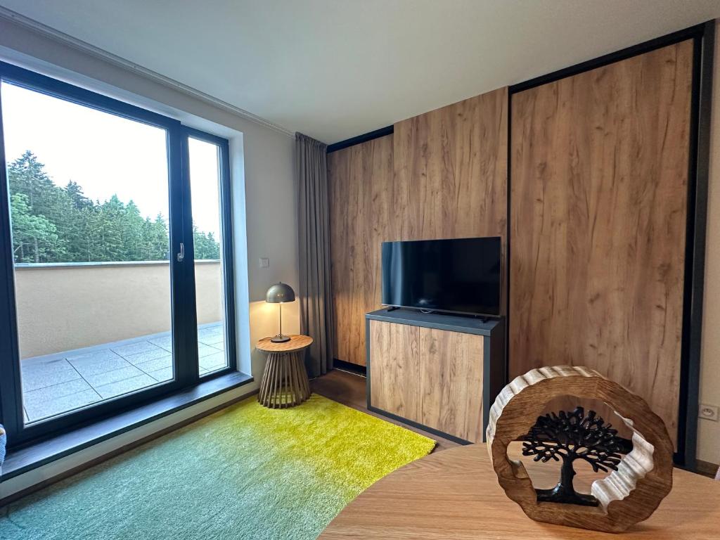 TV a/nebo společenská místnost v ubytování Angel Wings Mountain Apartment Černý Důl