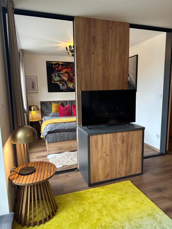 TV a/nebo společenská místnost v ubytování Angel Wings Mountain Apartment Černý Důl