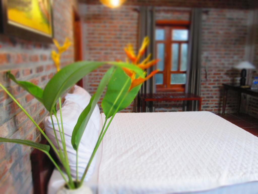 Ninh Binh Nature Homestay - Bungalow