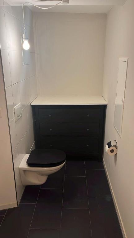 a bathroom with a black and white toilet with a black seat at Loftfeeling in Hombrechtikon